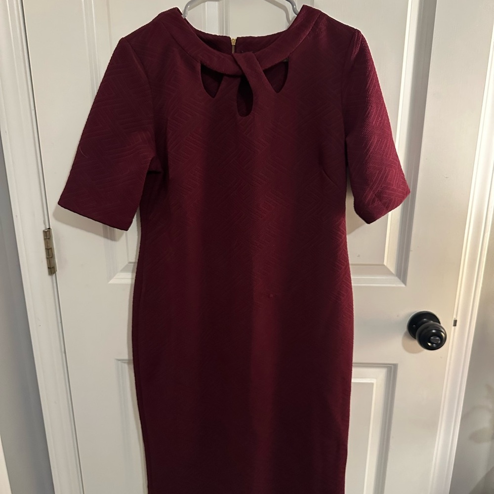 Elegant Burgundy Dress